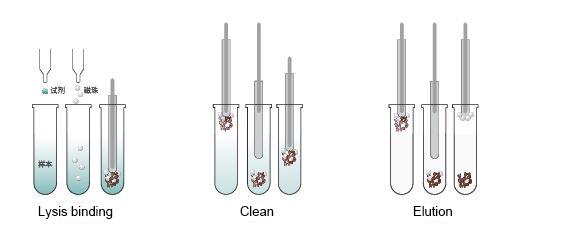 Nucleic Acid Purification System Biotechnology Lab Equipment 0