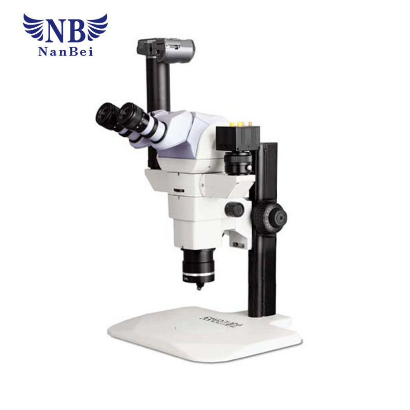 Laboratory Medical Laboratory Microscope , Study G