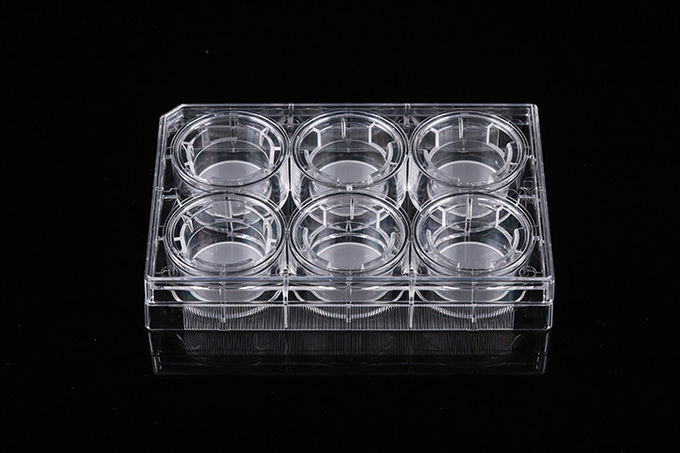 Cell Insert Multiple Well Plate 24mm PCR Laboratory 2