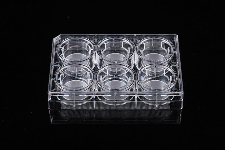 Cell Insert Multiple Well Plate 24mm PCR Laboratory