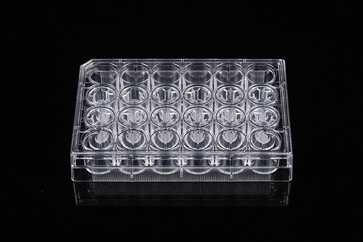Cell Insert Multiple Well Plate 24mm PCR Laboratory